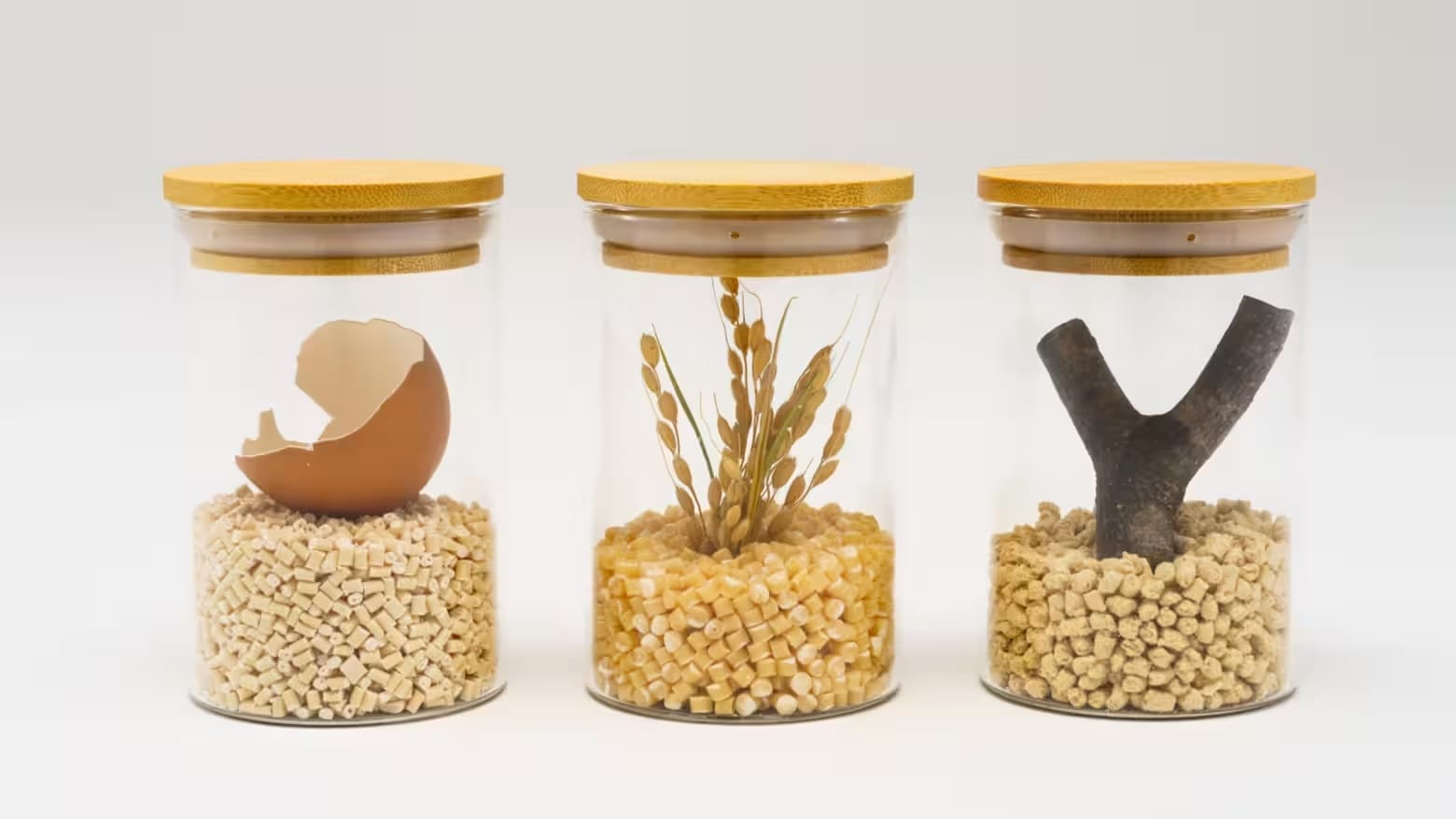 Eggshells and Bamboo: How Honda and Toyota Are Greening Their Supply Chains