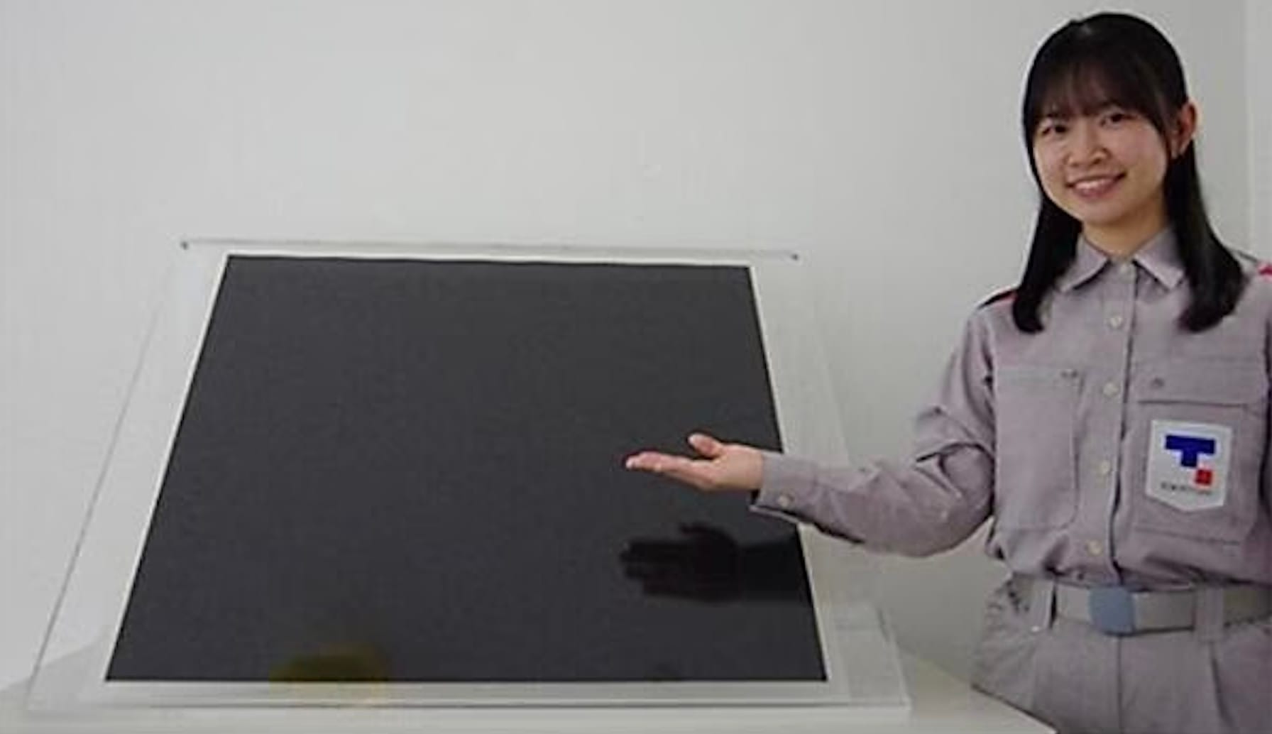 Japan Scales Up Production of Green Hydrogen Electrolyzer Membranes